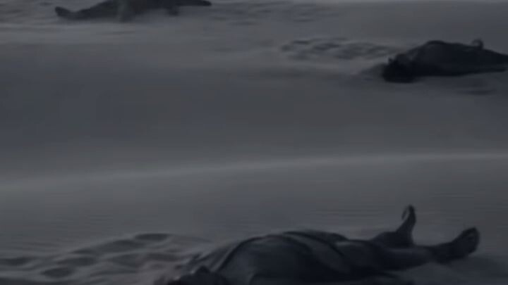 ANUBIS — Penjaga Kematian Mesir Kuno (Episode 2) Sebelum Anubis diken...
