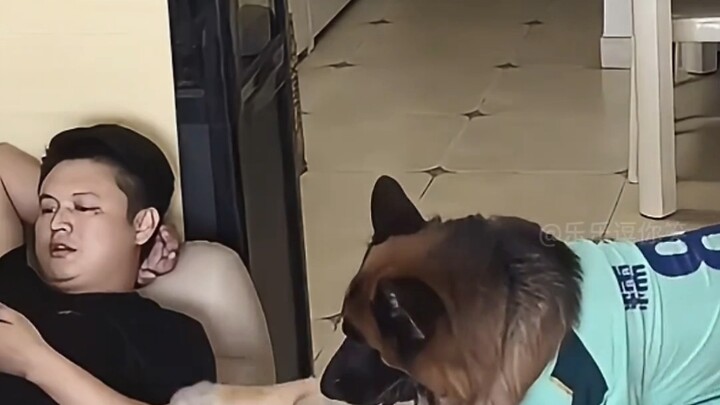 绝对是亲生的，小时候怕妈，长大了怕老婆# 搞笑视频