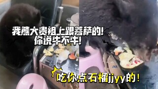 Here comes that living dad again!! Having connections really makes a difference! His ancestors must 