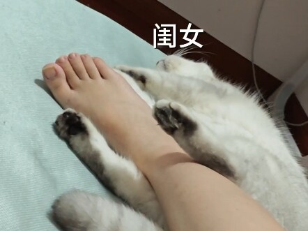 ความแตกต่างระหว่างลูกสาวกับลูกชายที่นอนด้วยกัน คนหนึ่งอบอุ่นหัวใจ อีกคนทำเอาแทบตาย