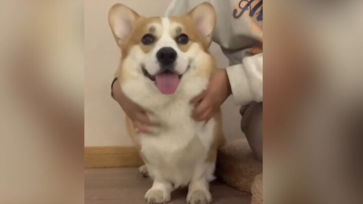 看点儿开心的吧【2】