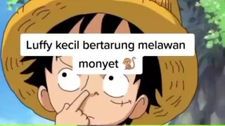 LUFFY KECIL MEMBUAT MUSUH JADI TEMAN !