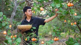 Mùa Đào Lộn Hột Hái Về Nấu Thành Bữa Cơm Bình Dị | Ở Nhà Nấu Ăn