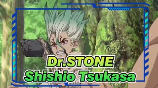 Dr.STONE | Shishio Tsukasa -- Pemimpin Yang Sebenarnya [Organisme Karbon Terkuat]