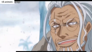 Những người thầy vĩ đại nhất trong One Piece _ 4