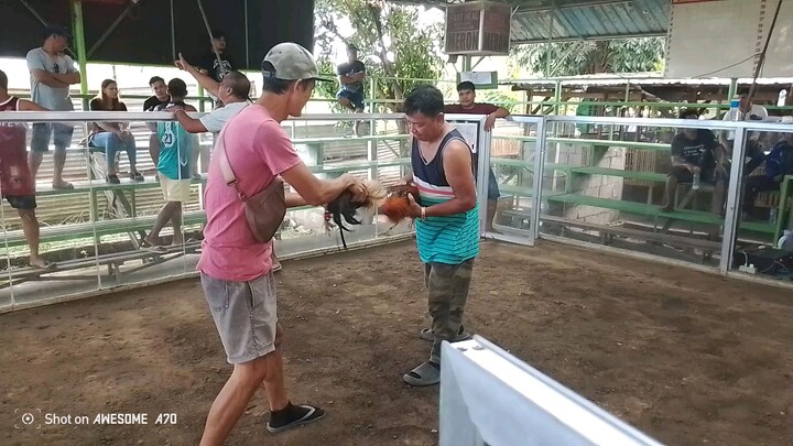 R.A.J Backyard.1st.fight.of my 1st.entry.Win