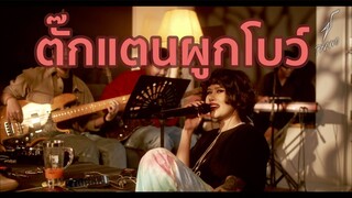 ตั๊กแตนผูกโบว์[Cover] - ปราง ปรางทิพย์【Live】