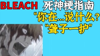 【死神梗百科】“聋子一护”“你在...说什么？”是什么梗【BLEACH】