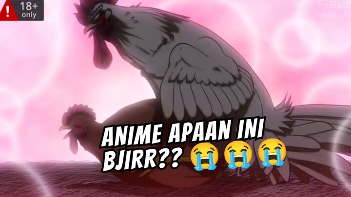 YAKALI BIRAHI SAMA AYAM!