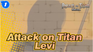 [Attack on Titan] Levi - Guren no Yumiya Violin Ver_1