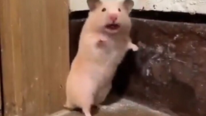 ???