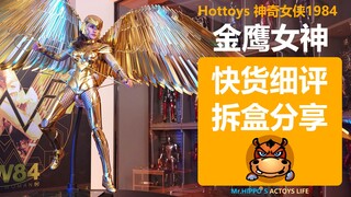 【河马细评】Hottoys HT 1/6 神奇女侠5.0豪华版 金鹰黄金盔甲女神 神奇女侠1984 快货分享拆盒测评评测