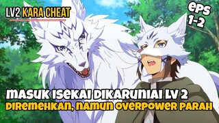 DIANGGAP REMEH KARENA HANYA LEVEL 2, TAPI TERNYATA SETARA DENGAN RANK S - lv2 KARA CHEAT