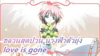 อลวนสุดป่วน นางฟ้าตัวยุ่ง|【love is gone】โปรดอย่าทอดทิ้งหนู เจ้านาย