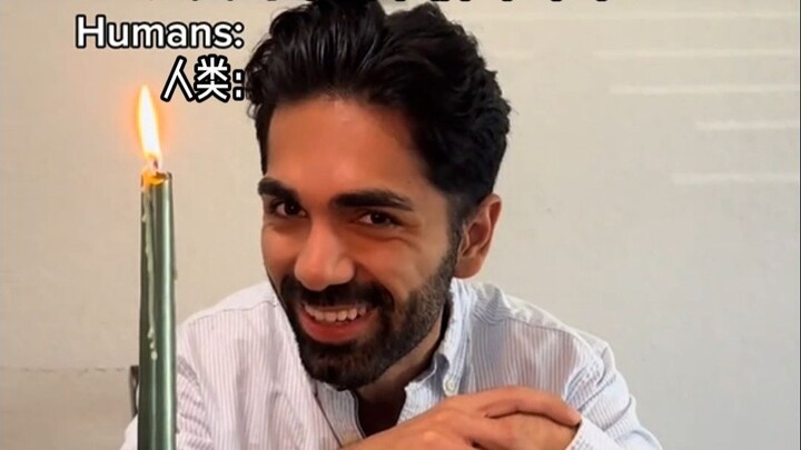 การเปรียบเทียบระหว่างสัตว์ปกติกับเต่าทะเลหลังจากเกิด