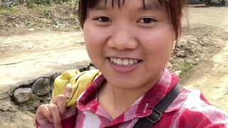给大家介绍一下我的职业