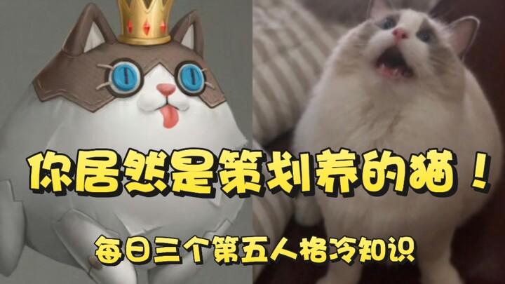 [Chat] Three Super Niche Facts About Identity V Every Day (3)