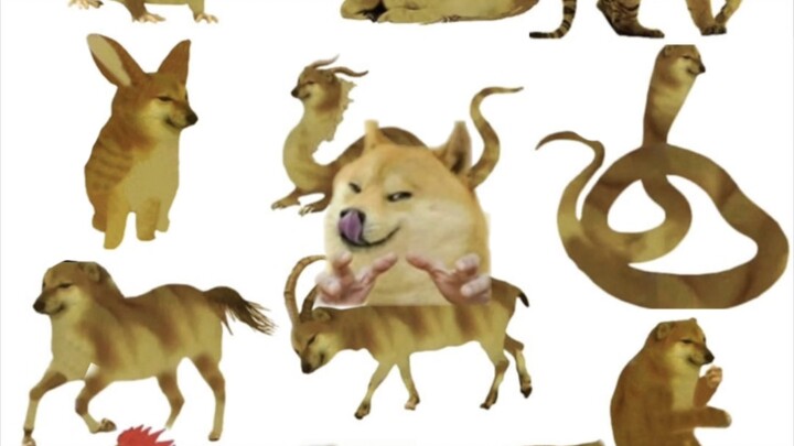 🐶Mười Hai Con Giáp🐶