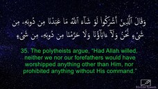 Surah An-Nahl - Idrees Abkar _ English Translation