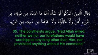 Surah An-Nahl - Idrees Abkar _ English Translation