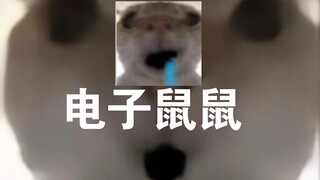 هل تريد تربية فأر إلكتروني؟