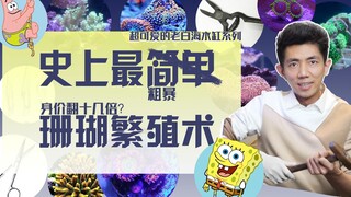 史上最简单的珊瑚繁殖术，让珊瑚价值翻倍，现场翻车？！