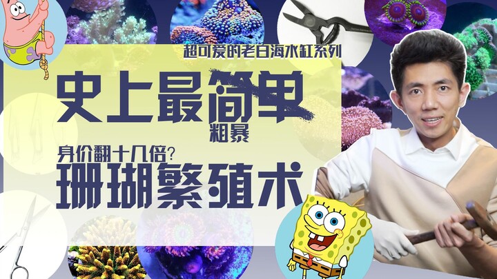 史上最简单的珊瑚繁殖术，让珊瑚价值翻倍，现场翻车？！