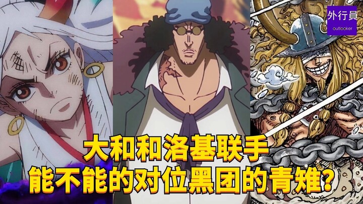 大和和洛基联手能不能对位黑团的青雉？#1983