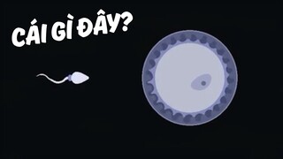 Một Game Giả Lập Bẩn Bựa.... // Imagine Lifetimes