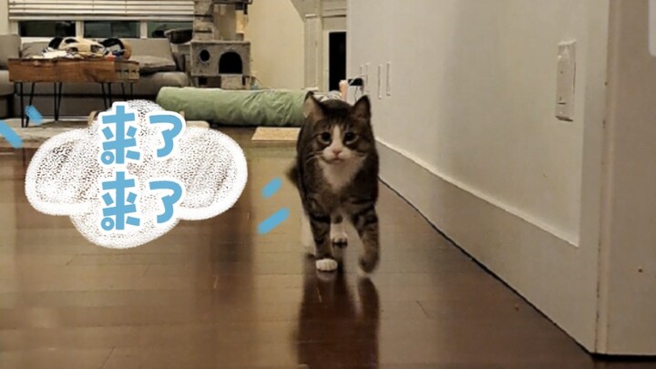 Ngoài việc đi chơi ra, còn một cách nhanh chóng để triệu hồi Phúc Phúc nữa đấy!