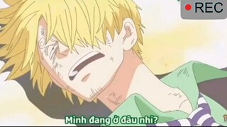 Những khoảnh khắc hài hước trong one piece