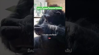 ดูตรงไหนมุมไหนหล่อไปหมด