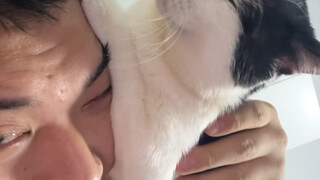 الحارس يظهر، سأصبح جدًا قريبًا!