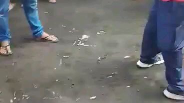 Winningline alimbuyogin