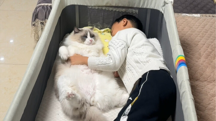 Soon after the child was born, the cat started to sleep with him. Who would have thought that five y