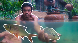 Membangun Kolam Ikan di Depan Rumah Bambu