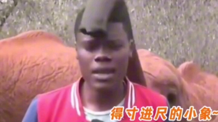 Pas nyedot kepala tuh kayak alat pengisap jiwa hahaha! #gajah #imut