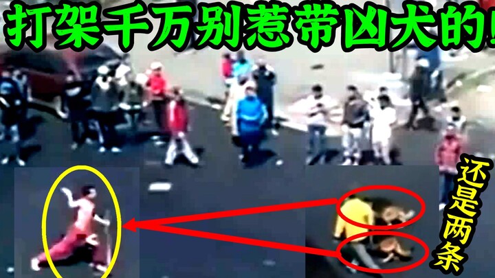 Kenapa katanya jangan pernah cari gara-gara sama orang yang bawa anjing saat berkelahi? Ini bikin ng