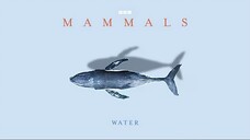 Mammals_2024_S01E03_Water