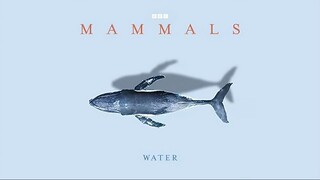 Mammals_2024_S01E03_Water