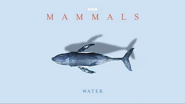 Mammals_2024_S01E03_Water