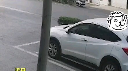 A female driver caused another person’s death in a “dooring” incident and was sentenced to nine mont