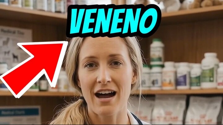 Como combater as moscas no gado boi e vaca
