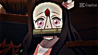 Bé Nezuko Của các ông này ❤💙💚💛💜