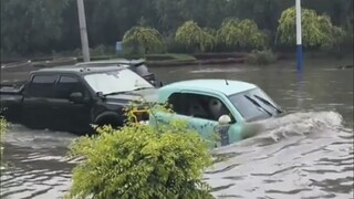 Perairan yang tenang tidak dapat menghasilkan burung pemangsa yang baik