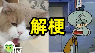 【虾猜热梗】人生无常，大肠包小肠是什么梗？原出处是什么？火的经过详解