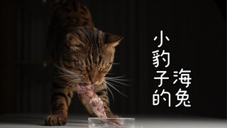 海兔还是没有肉兔香哎！