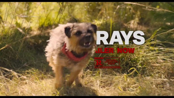 Strays  Watch Full Movie : link in Description