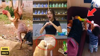 IBA PALA ANG PUNTIRYA NG ASO, KAYA PALA LUMAPIT ITO SA AMO😂|PINOY FUNNY VIDEOS COMPILATION 2023