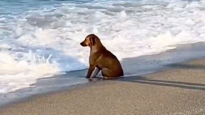 "Dilahirkan Sendirian"